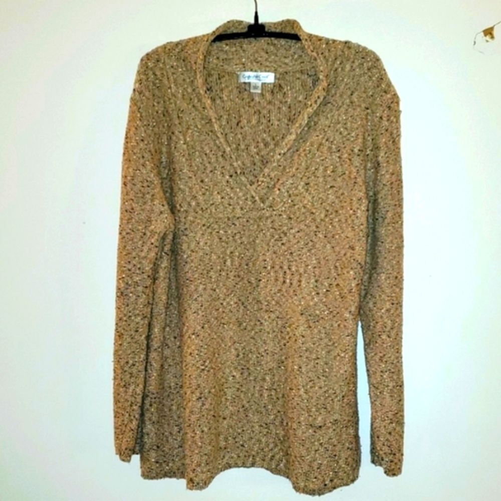 Coldwater Creek sweater